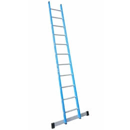 Lyte GFNELT125 EN131-2 Professional Single Section Glassfibre Ladder (8 Rung - 2.5m)