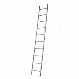 LFI TuFF Steel 10 Rung Single Section Industrial Pole Ladder (3m)