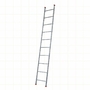 LFI TuFF Steel 10 Rung Single Section Industrial Pole Ladder (3m)