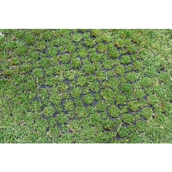 Blue Diamond Greenskeeper Rubber Grass Mat