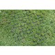 Blue Diamond Greenskeeper Rubber Grass Mat